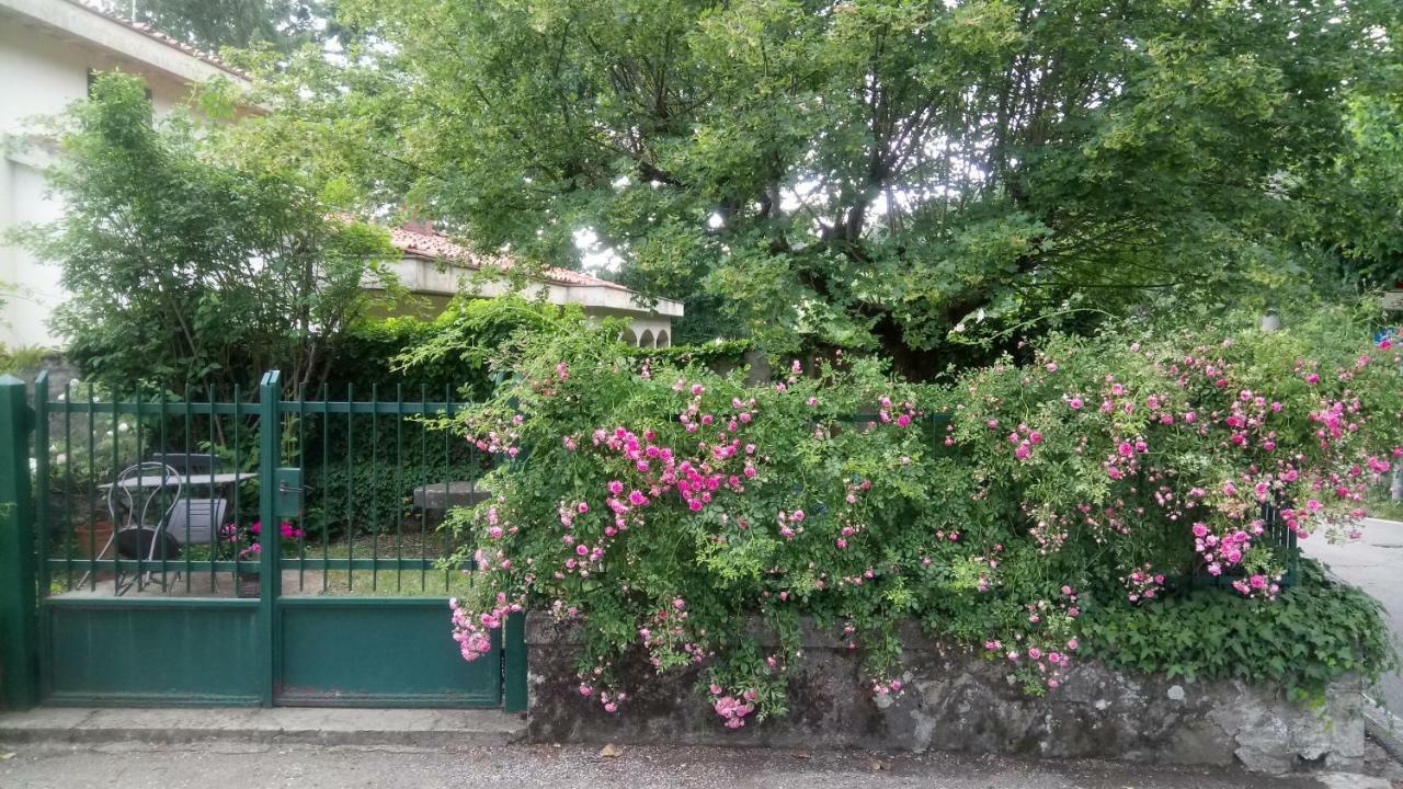 Casa Bartolacci Cozy Apartment Bivigliano Eksteriør bilde