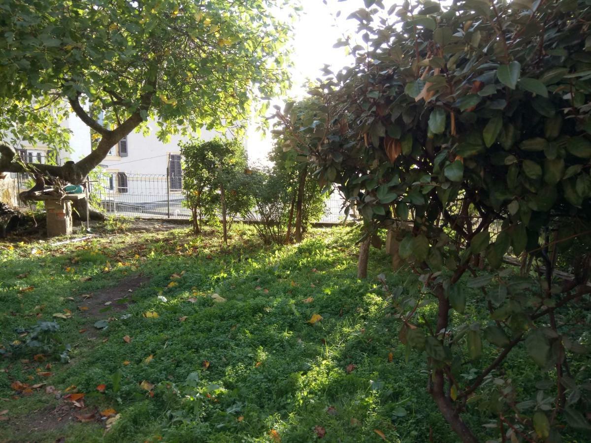 Casa Bartolacci Cozy Apartment Bivigliano Eksteriør bilde